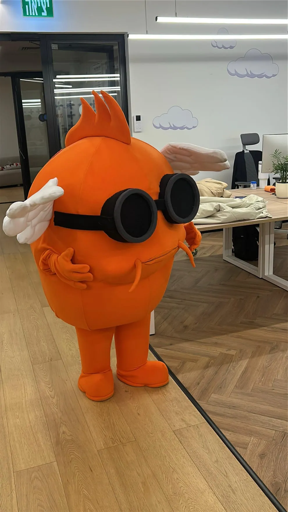 חברת KOI