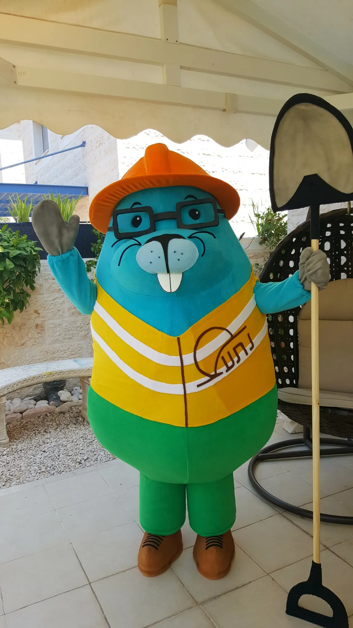 נטע רכבת הקלה 