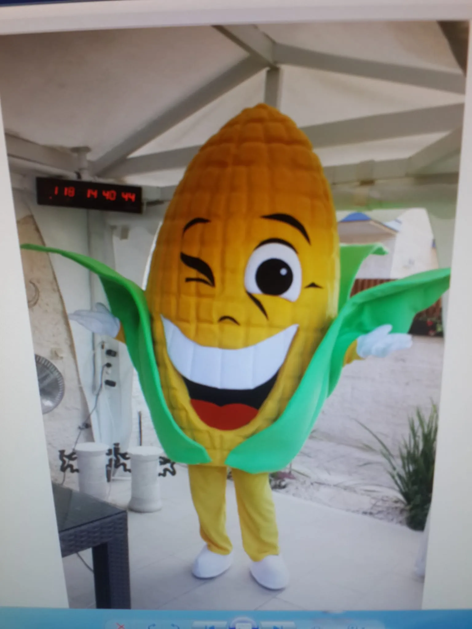 WhatsApp Image 2026 03 10 at 17.11.41 (4)