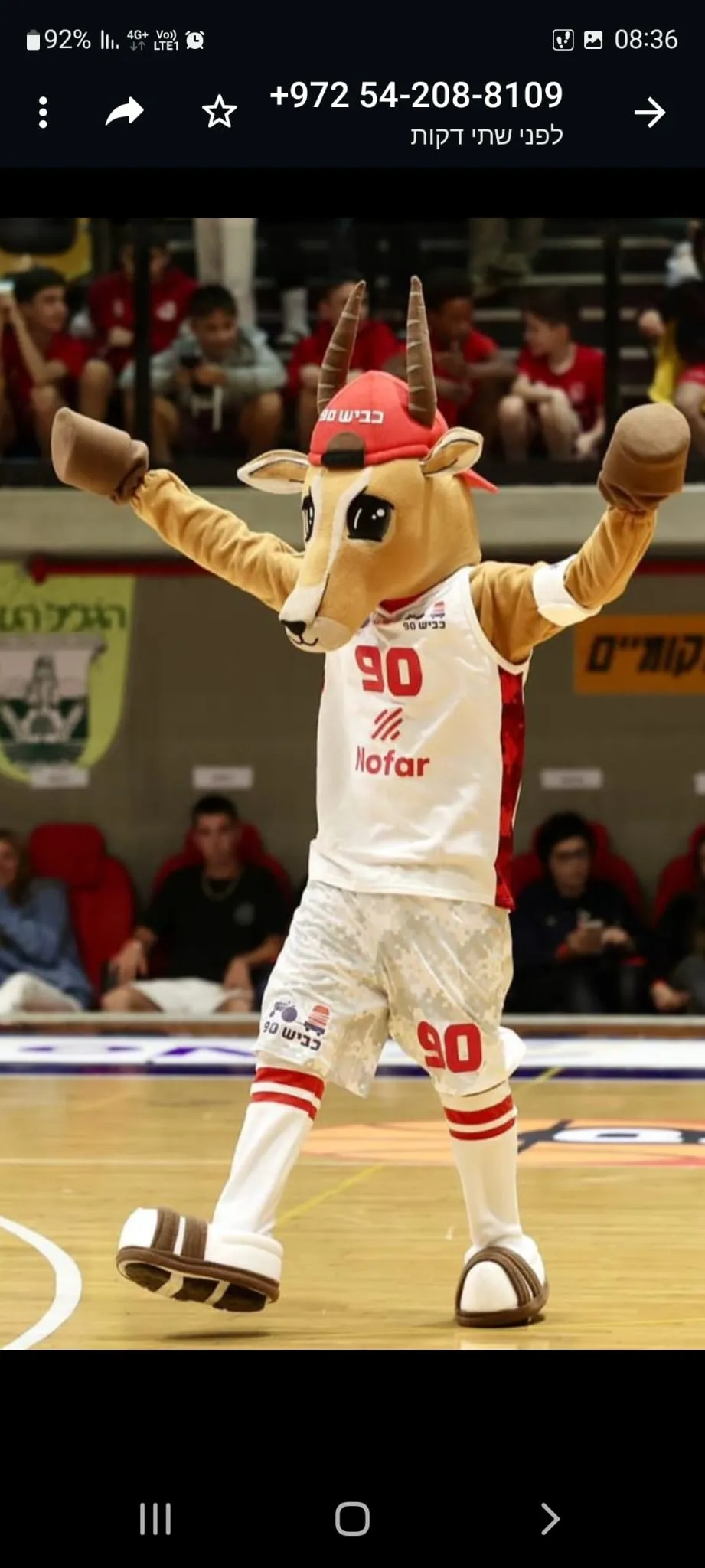 כביש 90 כדורסל