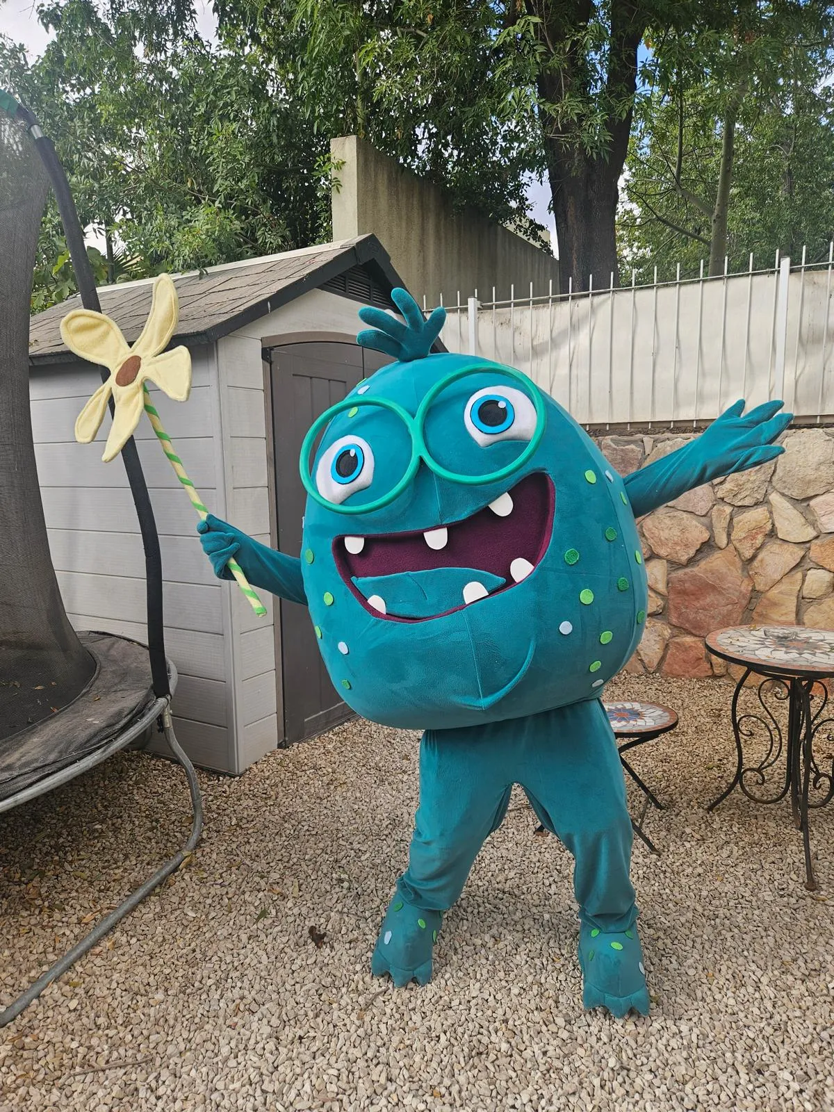 תנובה 