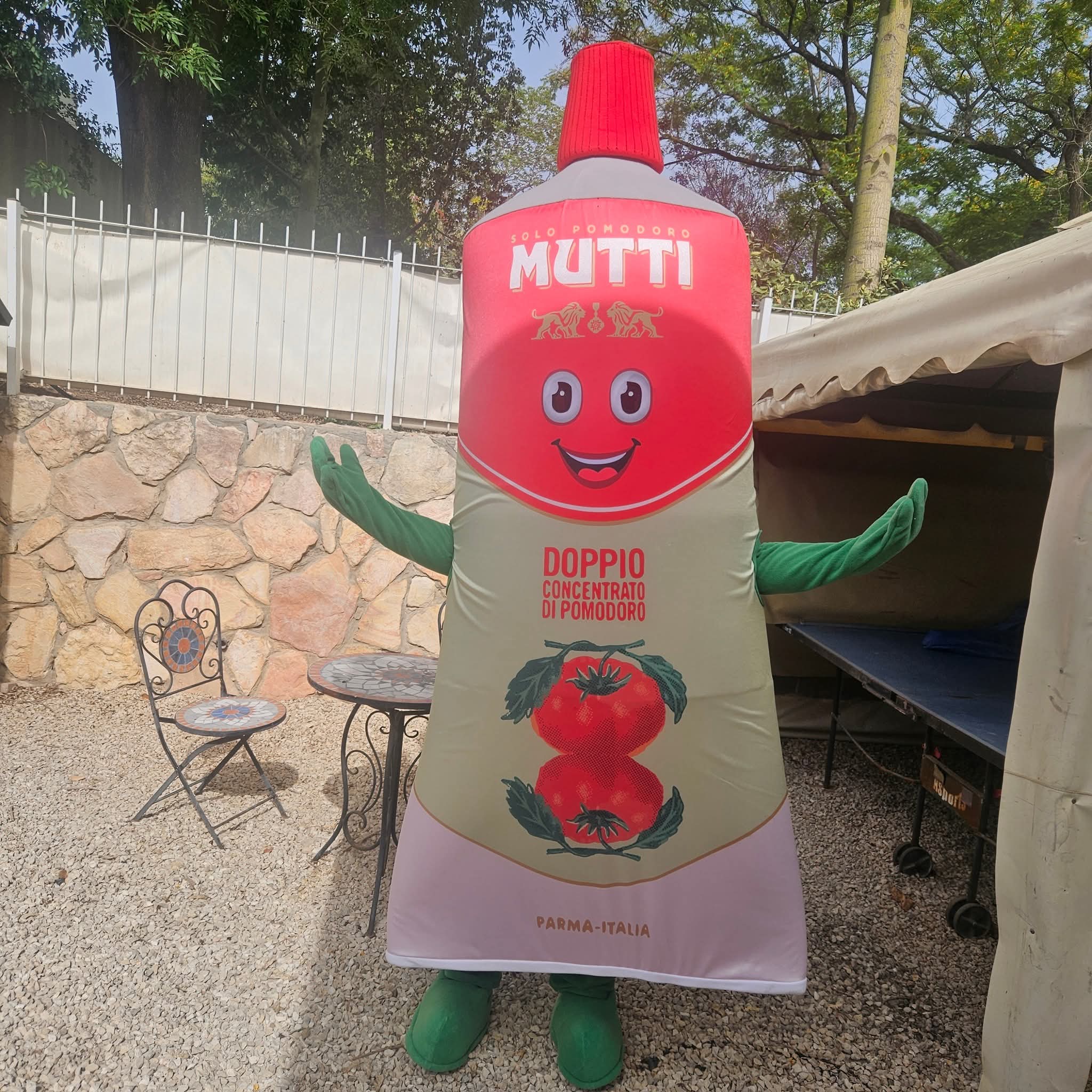 מיוטי עגבניות