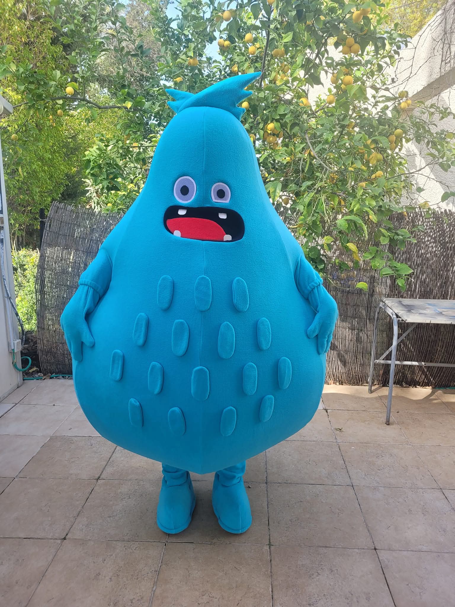רופס סטגמיק ישראל 